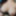 my girlfriend&#039;s lactating breasts