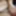 I cum a lot while doing a private show #4