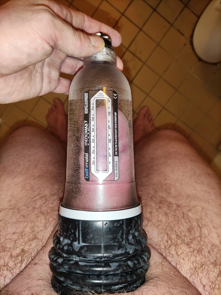 Finnish Cock