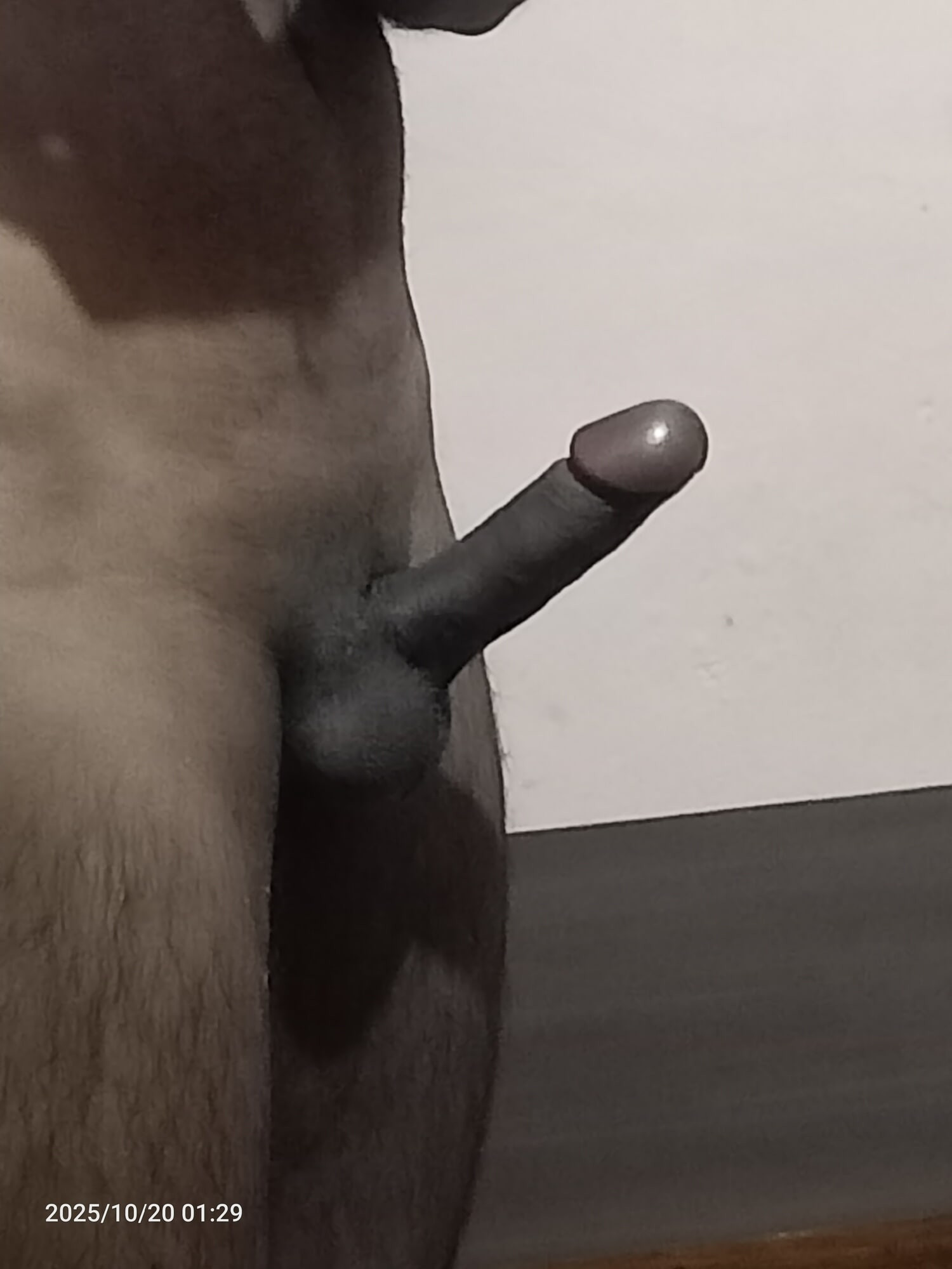 Beautiful Cock