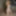 Venus Love Dolls - Ultimate Fantasy Sex Dolls #11