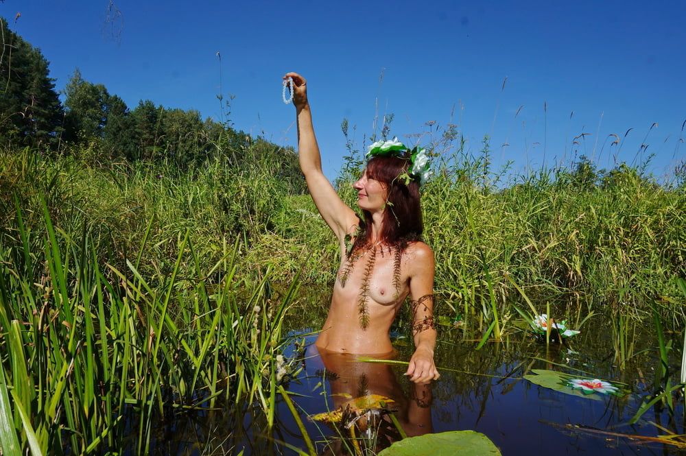 In pond with waterflowers #13