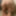 Body showcase #16