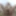 June 12, 2024 Daily duty of the naked slave #4