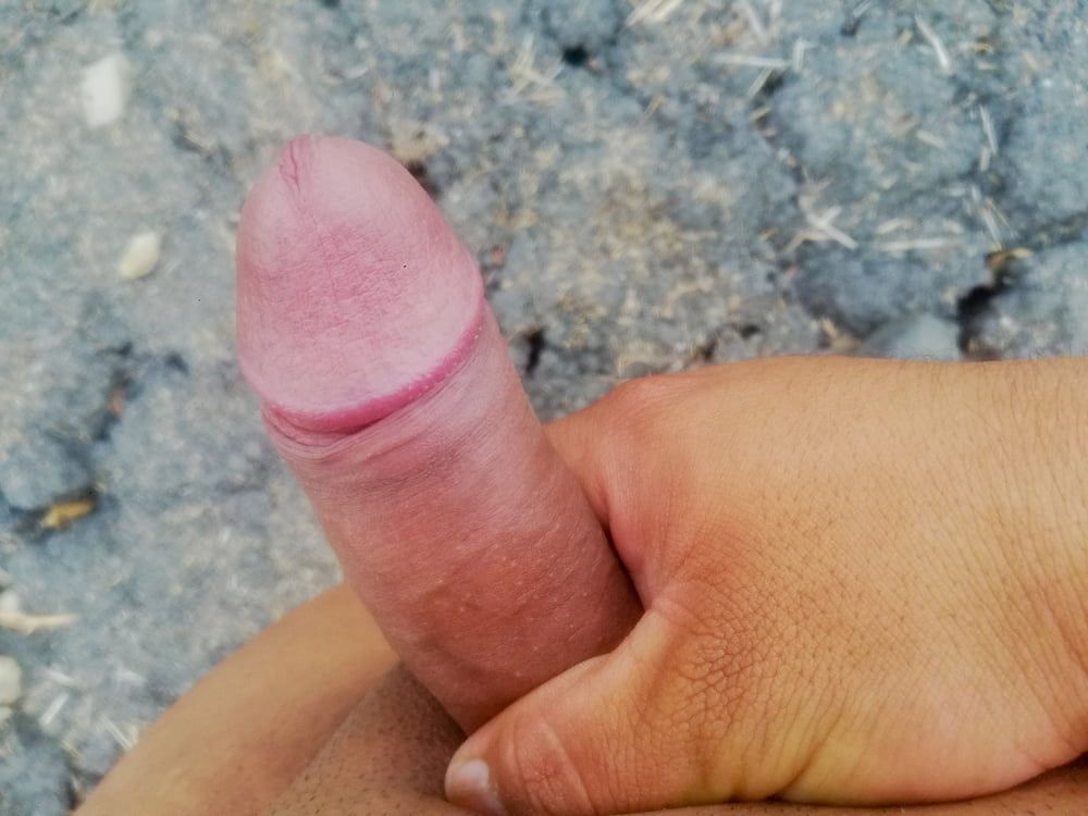 Una Delicia de Pene 17 #4