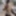 Exhibitionist whore in a fur coat flashing in public #4