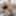 Horny grandpa cock wants to suck blonde Tina delicious #9