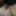 I'm waiting for your cock