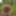 Fag Christoph Straubinger naked in the forest #23