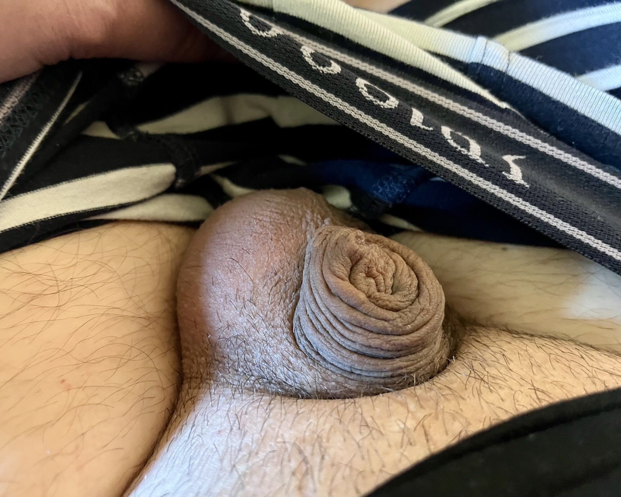 small dick #4