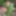 Got punished with nettle (macro photo) #2