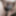 new year,new pix(2020)