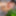 SelfiesNudes al Aire Libre (Excitado en la Calle) #24
