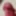 Big Dick Glans Close up