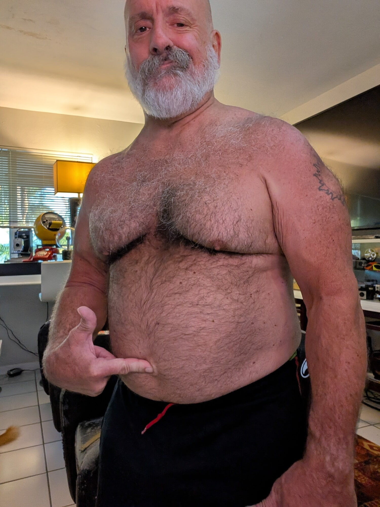 Mister bear