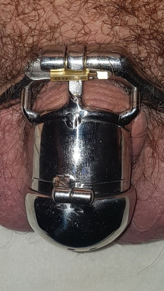 Chastity cage #58