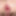 Squirt in anal #24