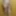 Nude in CONVERSE CHUCKS
