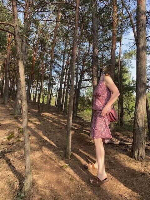 Forest Wanderlust #47