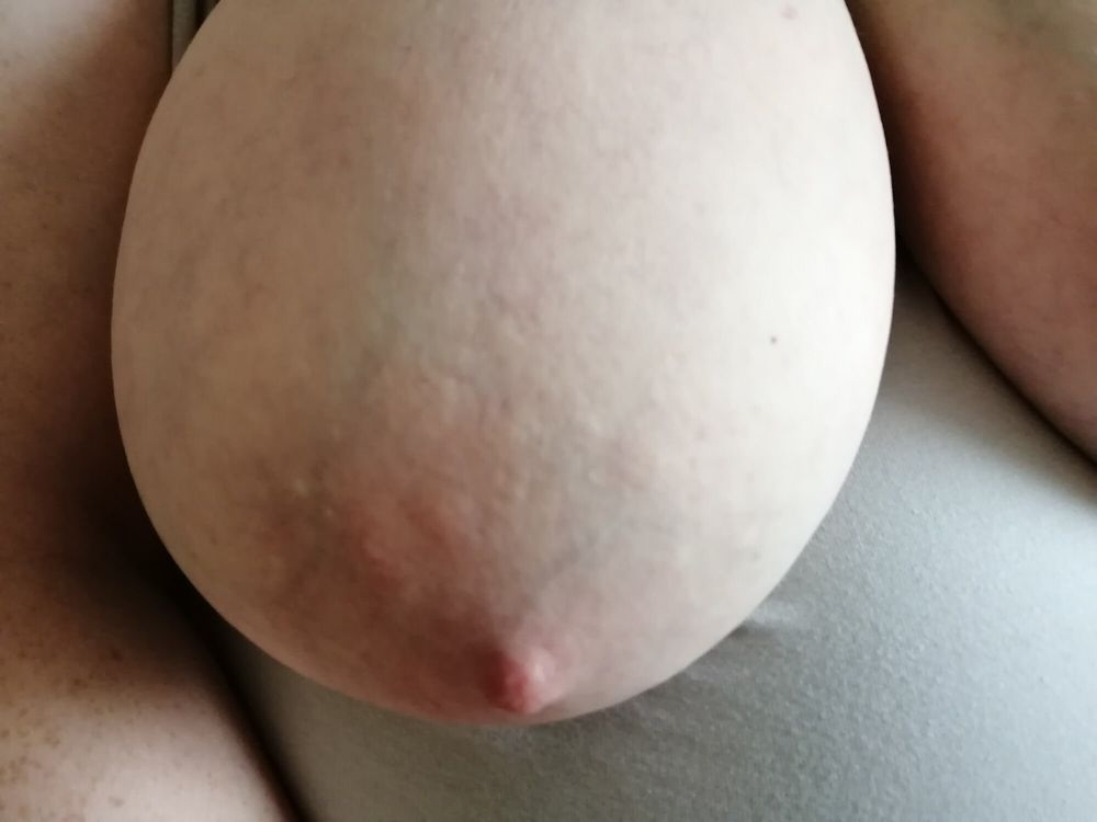 Good-quality photos of my tits #51