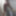 Tygra bitch oiled butt plugged small cumcumber,part 1 #21