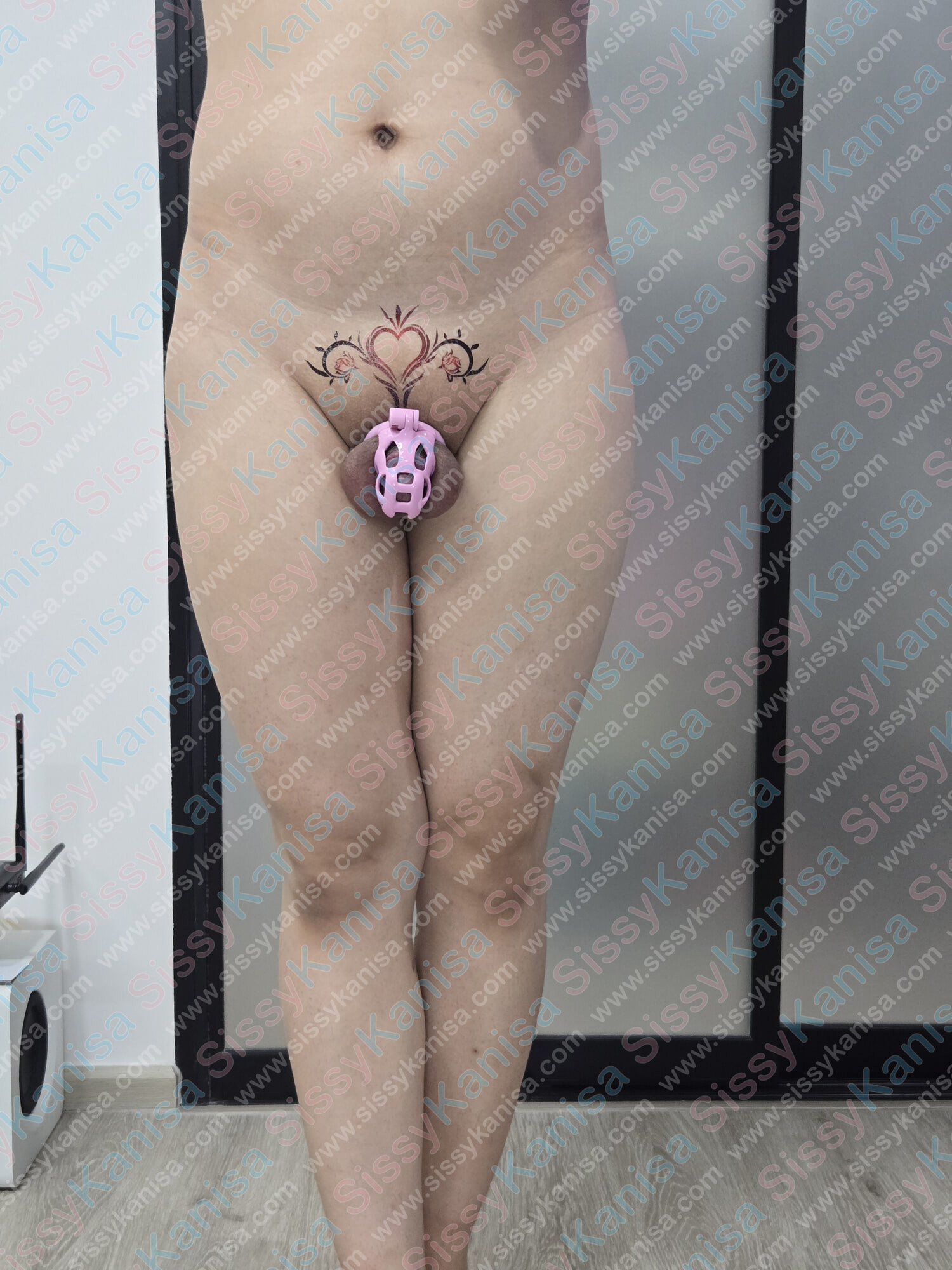 Album foto SissyKanisa: kandang kesucian pink dan sumbat anal