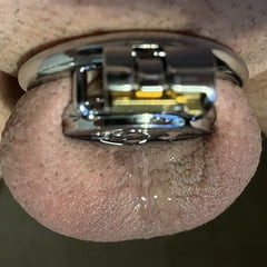 New chastity cage