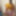 Honey Doll  Free Photos