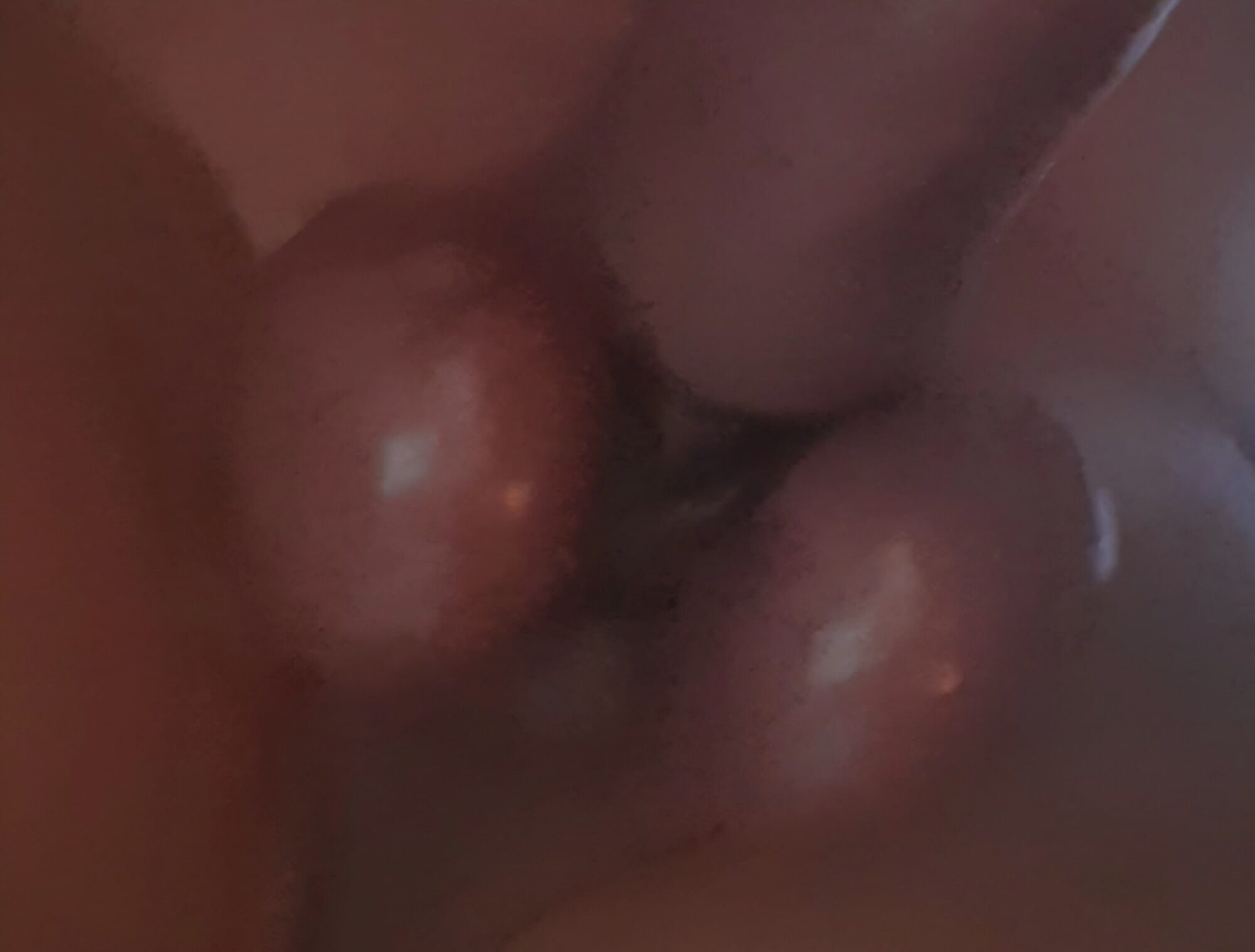 Eier