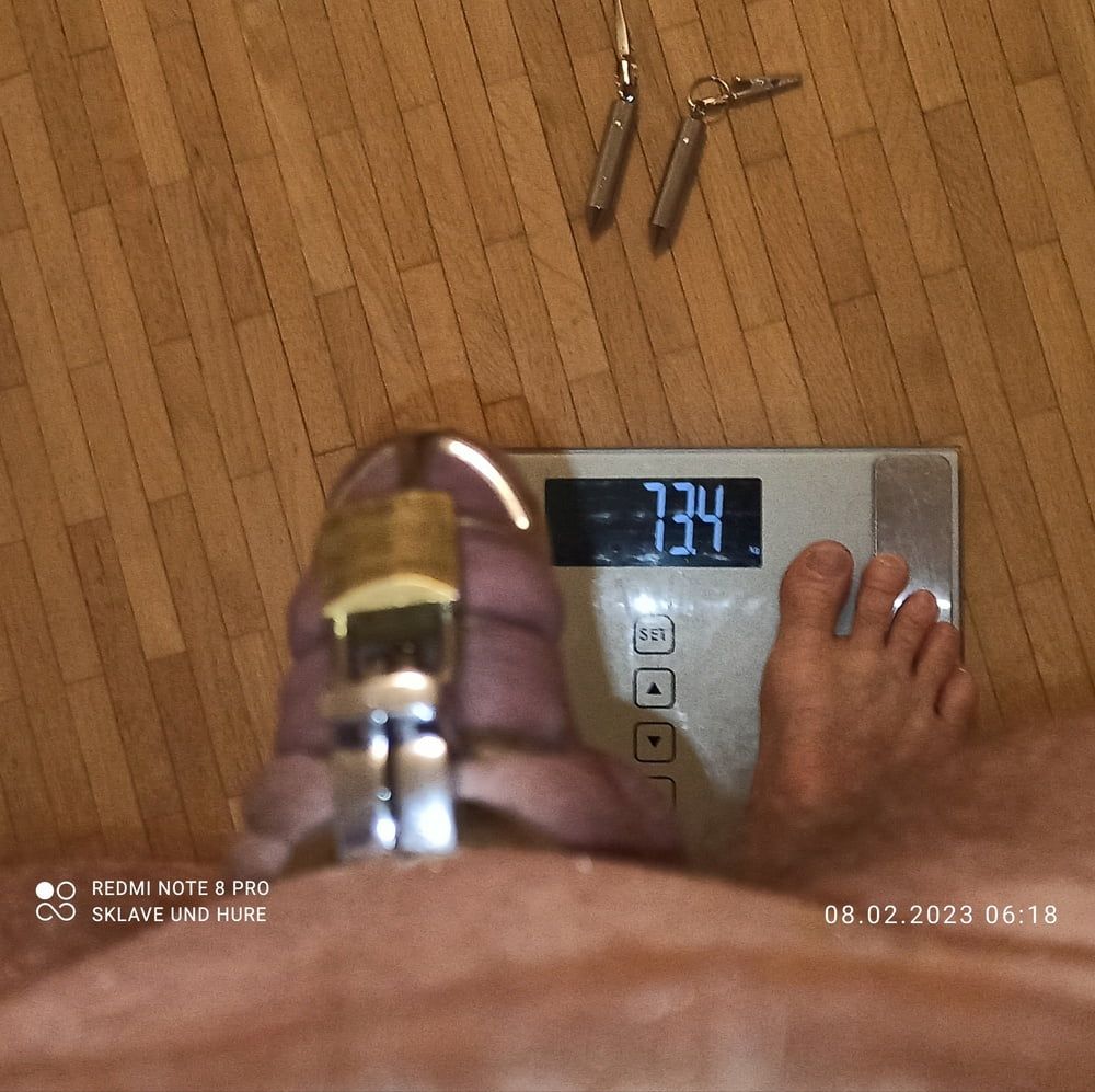 weighing, cagecheck, die new weights of 08.02.2023 #6