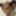 DeluxeDivas.com - Live Chat - Tamiry Chiavari #29