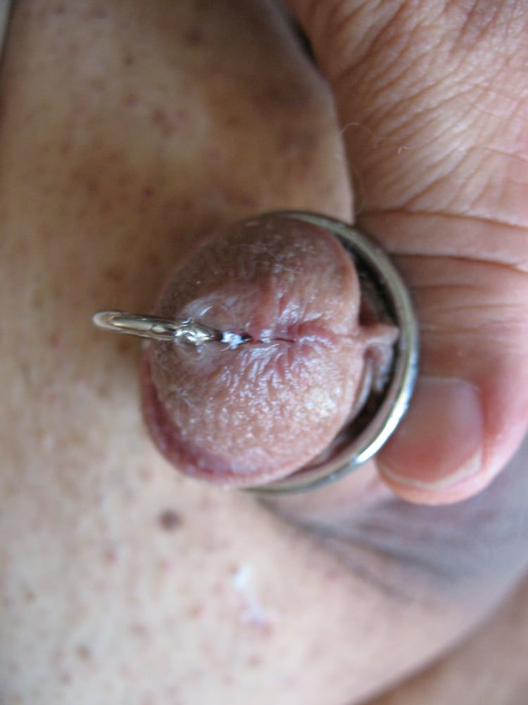 More steel in my cock with glans ring #38