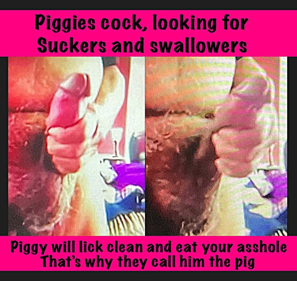 Piggies cock