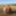 Anna naked on straw bales ... #34