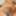 Srilankan girl bdsm with sex touys 