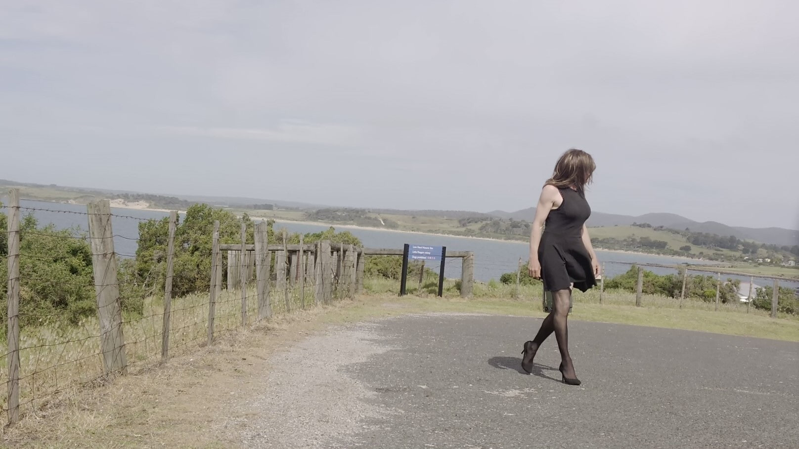 Crossdress Roadtrip - Seaside Lookout #14