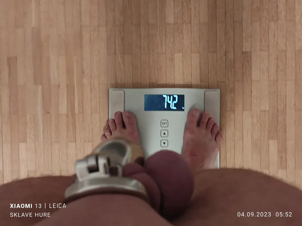 Weighing, Cagecheck, plugcheck on September 04th, 2023 #2