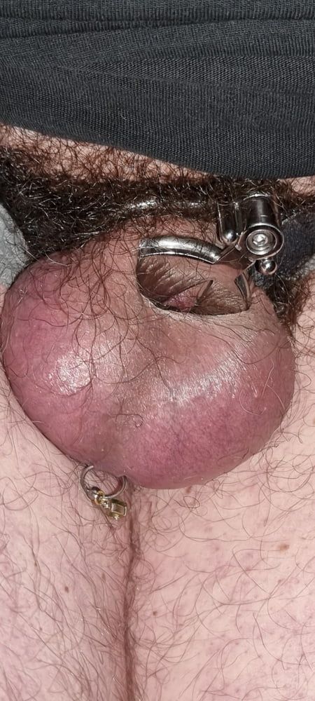 My new chastity cage after 2 days #29