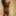 Black honey gets recorded as she showers #57