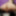 Alisya JC weekly photos 42 Anal Dildo Gape #14
