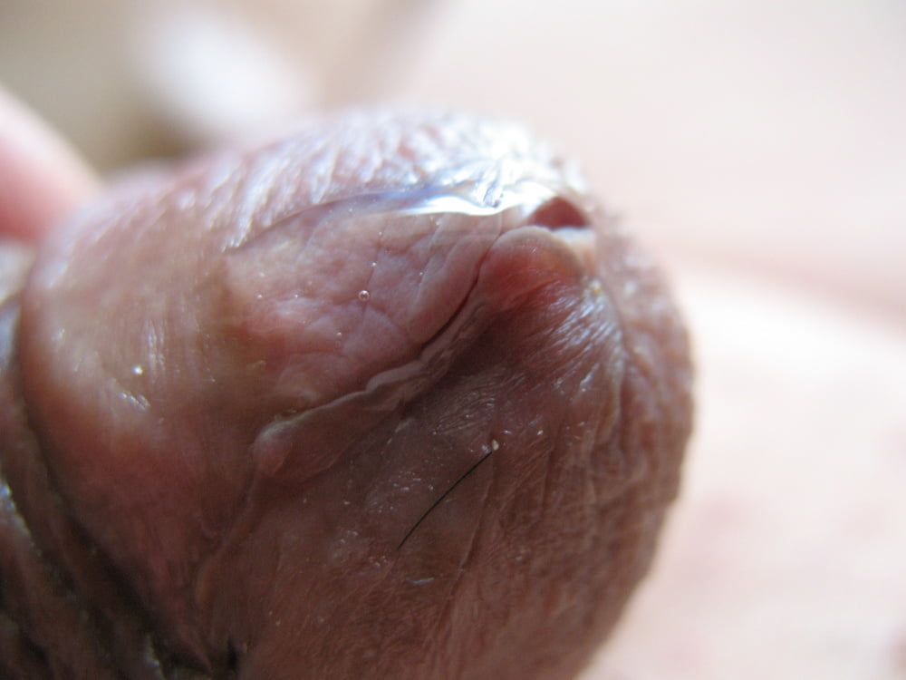 Cute little cock with precum #9