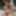 Amber and Dayne fuck a cock in a orgy