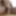 Solo cumshot masturbation 