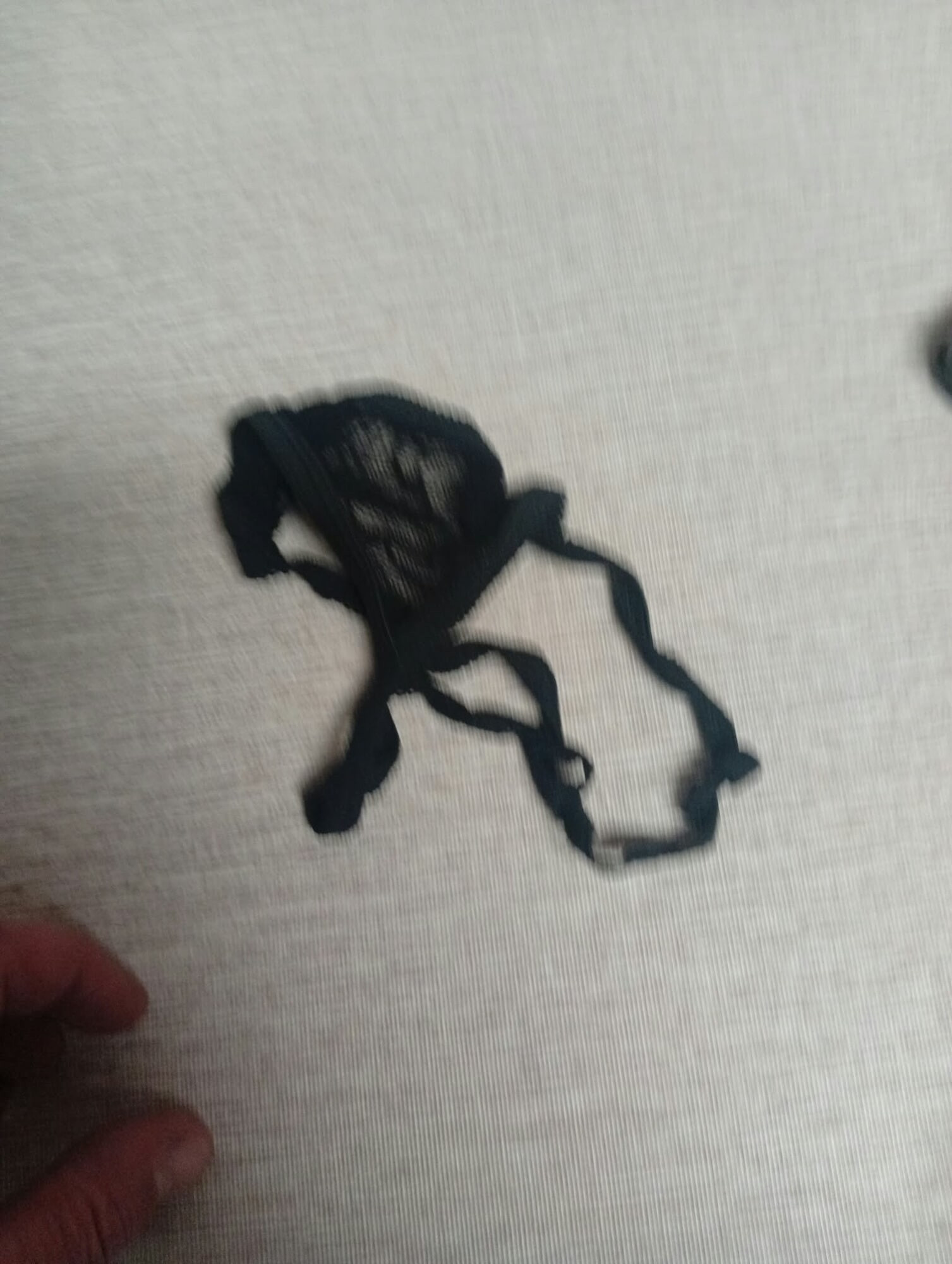 Thong  #8