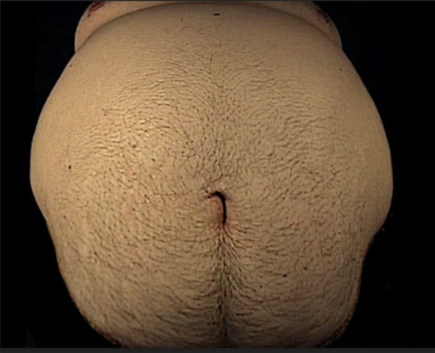 Ximd9000 Big Bloated Belly #8