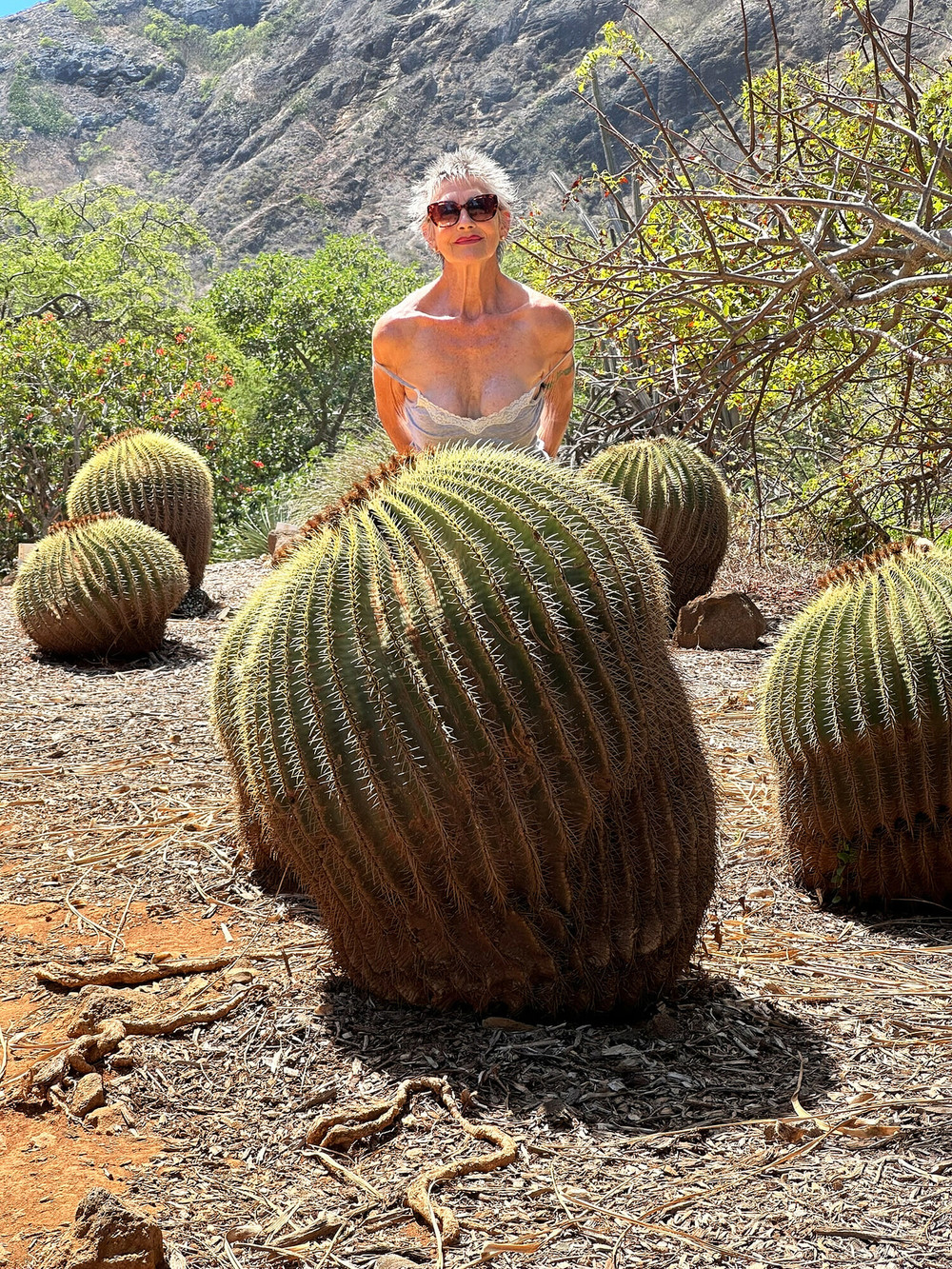 Photos from Hawaii  #60