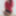 Veritapie Free Photos #13
