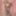 Joanie - Anya’s Printed Lingerie Set #22