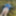 Cover up, reveal #49