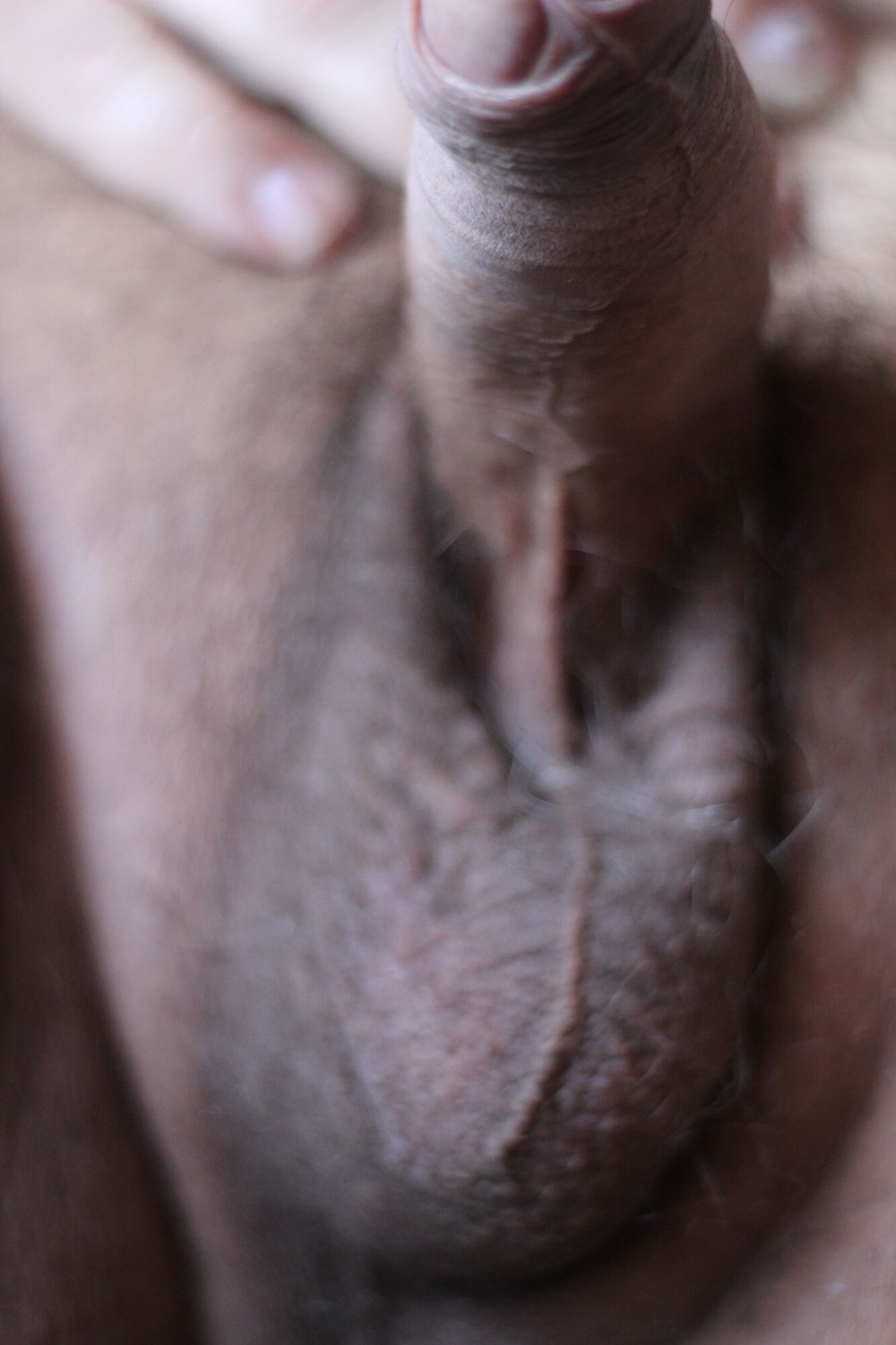 I love scrotum #4